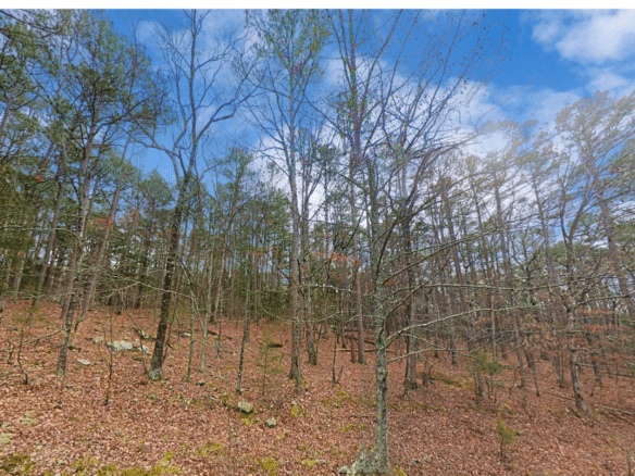 SOLD – 0.27 Acres of Arkansas Treed Mountain Land for Sale Near Lakes