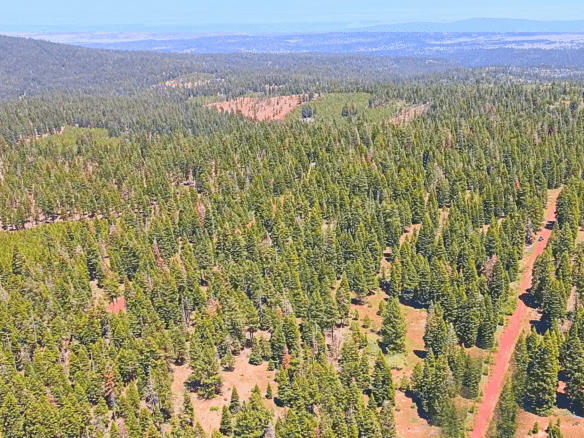 1.84-Acre Wooded Lot for Sale in Alturas, CA