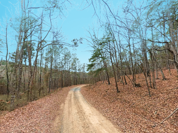 SOLD – 0.27 Acres of Arkansas Treed Mountain Land for Sale Near Lakes