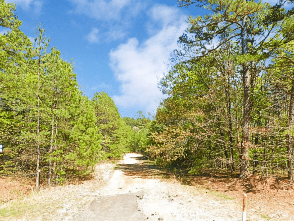 Lake Life & Mountain Views! 0.22 Acres in Fairfield Bay, Arkansas