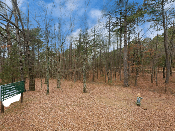 SOLD – 0.27 Acres of Arkansas Treed Mountain Land for Sale Near Lakes