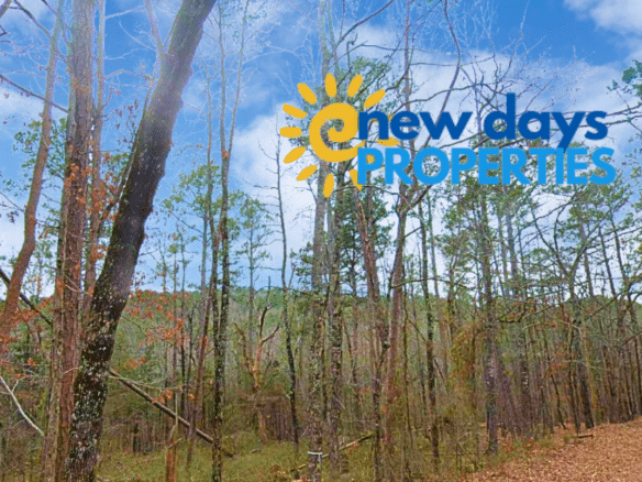 SOLD – 0.27 Acres of Arkansas Treed Mountain Land for Sale Near Lakes