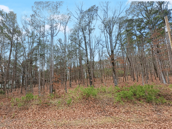 SOLD – Fairfield Bay, AR Land for Sale 0.27 Acres Lake View Property