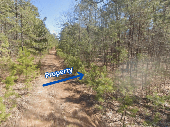Privacy, Serenity, and Lake Views: 0.27 Acres Lot Ideal to Build/Retreat