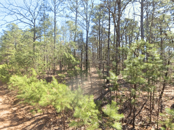 0.25 Acres Mountain View Land for Sale Fairfield Bay, AR