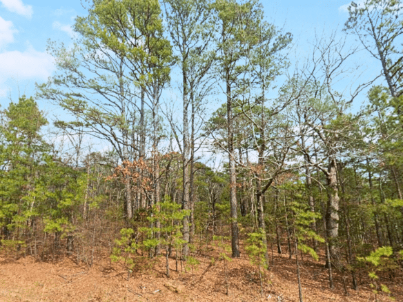 0.25 Acres Mountain View Land for Sale Fairfield Bay, AR