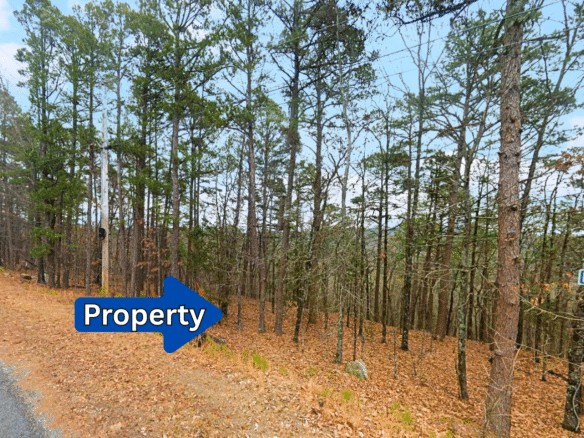 0.28-Acre Lot in a Prime Location in Fairfield Bay, AR