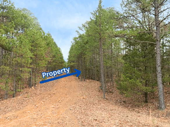 Privacy, Serenity, and Lake Views: 0.27 Acres Lot Ideal to Build/Retreat
