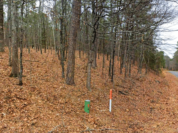 0.28-Acre Lot in a Prime Location in Fairfield Bay, AR
