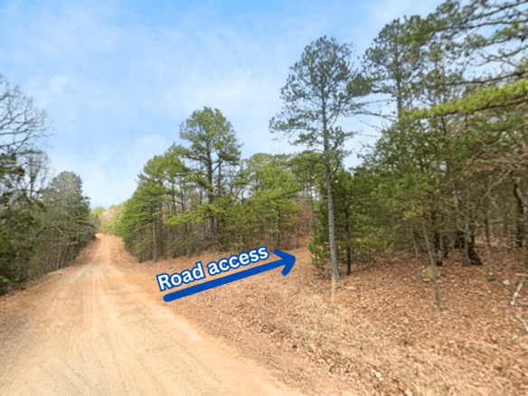Privacy, Serenity, and Lake Views: 0.27 Acres Lot Ideal to Build/Retreat