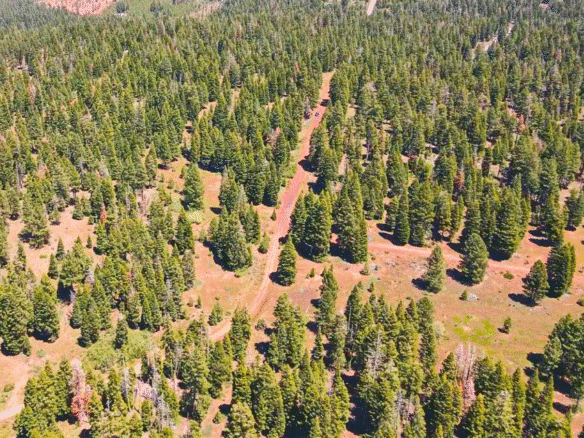 Perfect Camping or Cabin Spot – 0.92 Acres for Sale in Likely, CA