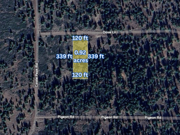 Perfect Camping or Cabin Spot – 0.92 Acres for Sale in Likely, CA