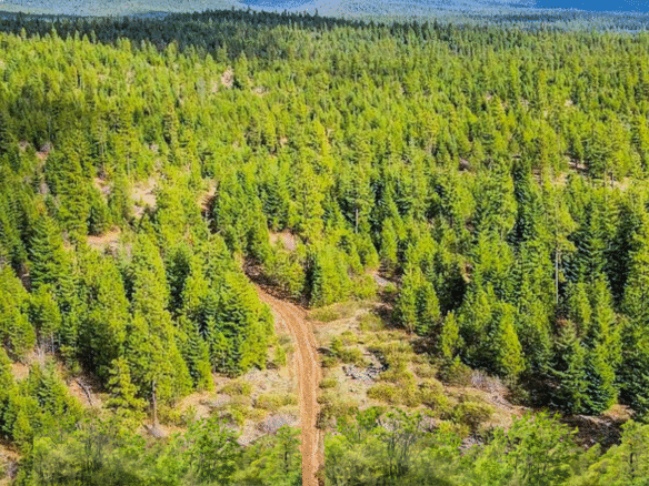 Perfect Camping or Cabin Spot – 0.92 Acres for Sale in Likely, CA