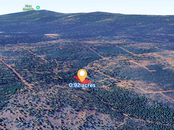 Perfect Camping or Cabin Spot – 0.92 Acres for Sale in Likely, CA