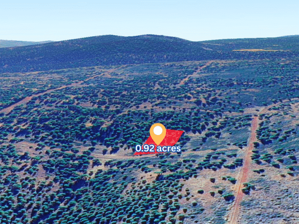 Perfect Camping or Cabin Spot – 0.92 Acres for Sale in Likely, CA