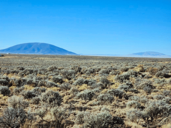 Peaceful 8.77 Acres for Sale in San Luis, CO – Perfect Weekend Getaway