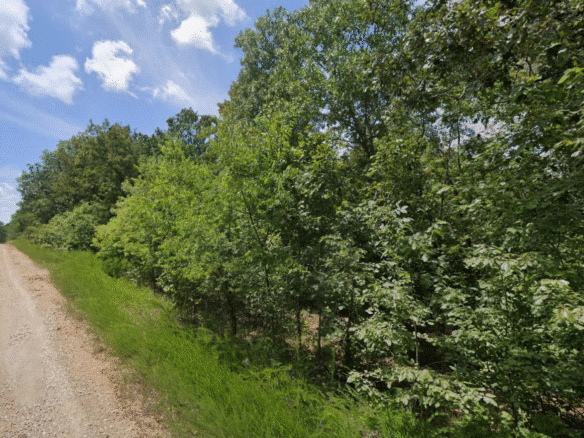 0.50-acre lot in Cherokee Village, Arkansas for Sale