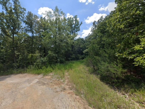 0.50-acre lot in Cherokee Village, Arkansas for Sale
