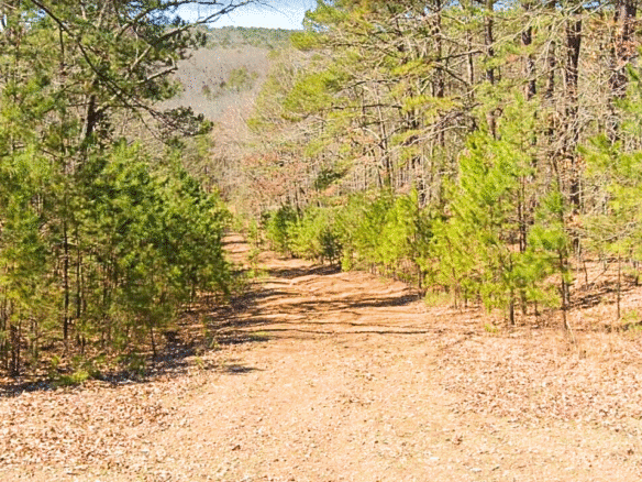 0.24-Acre Lot in a Prime Location in Fairfield Bay, AR