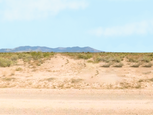 RV, Farm, Camp, or Build – Half-Acre Deming, NM 88030