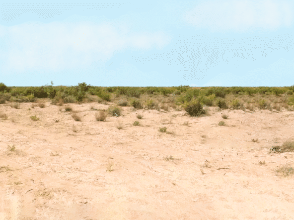 RV, Farm, Camp, or Build – Half-Acre Deming, NM 88030