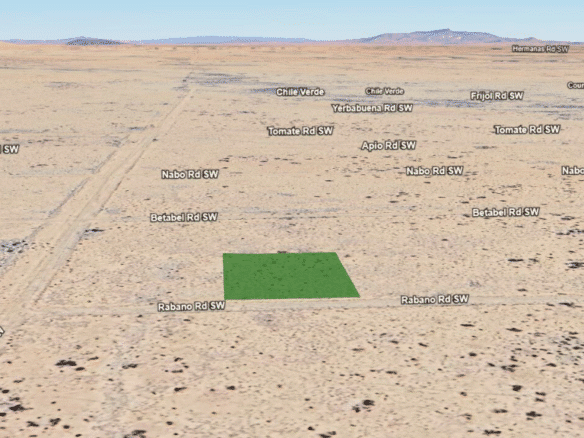 RV, Farm, Camp, or Build – Half-Acre Deming, NM 88030
