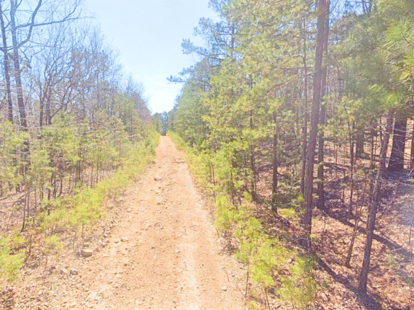 Peaceful 0.25-Acre Lot by Greers Ferry Lake in Fairfield Bay, AR