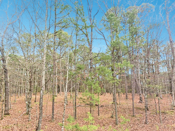 Peaceful 0.25-Acre Lot by Greers Ferry Lake in Fairfield Bay, AR