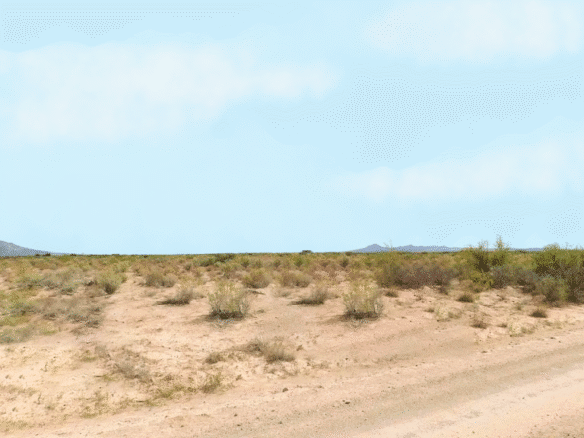 RV, Farm, Camp, or Build – Half-Acre Deming, NM 88030