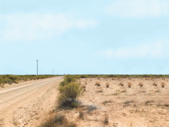 RV, Farm, Camp, or Build – Half-Acre Deming, NM 88030