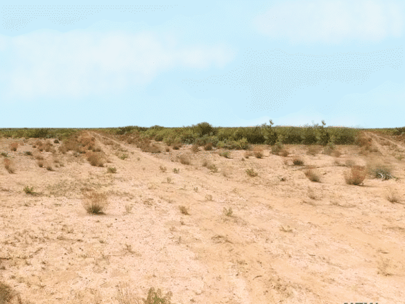 RV, Farm, Camp, or Build – Half-Acre Deming, NM 88030