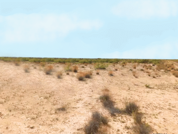 RV, Farm, Camp, or Build – Half-Acre Deming, NM 88030