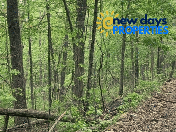 Wooded 0.12 Acres For Sale in Williford, AR! 100% Unrestricted!