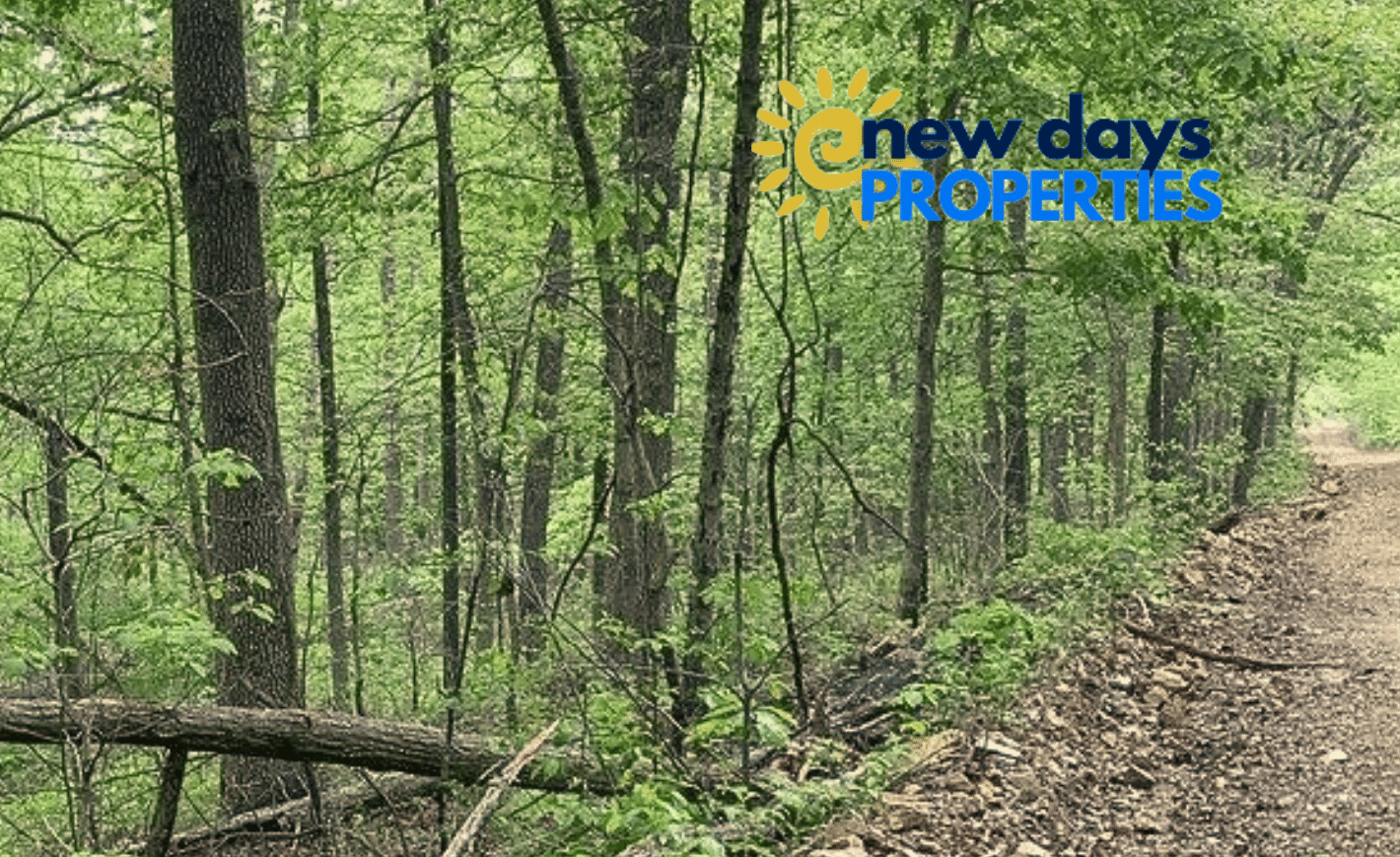 10 Wooded 0.12 Acres For Sale in Williford, AR! 100% Unrestricted!