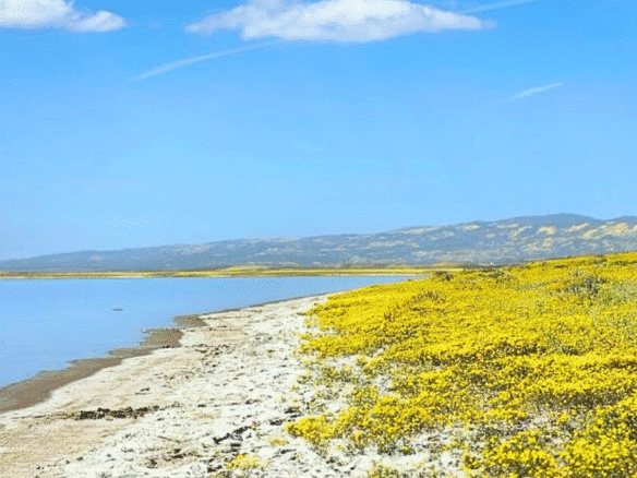 2.5 Acres Land to Build or Homestead, Santa Margarita, CA 93453
