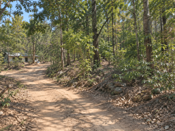 Wooded 0.12 Acres For Sale in Williford, AR! 100% Unrestricted!