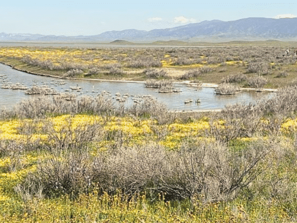 2.5 Acres Land to Build or Homestead, Santa Margarita, CA 93453