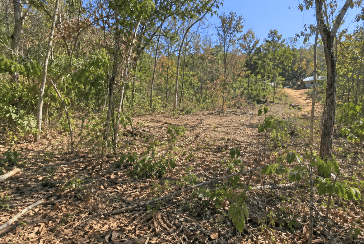 Wooded 0.12 Acres For Sale in Williford, AR! 100% Unrestricted!
