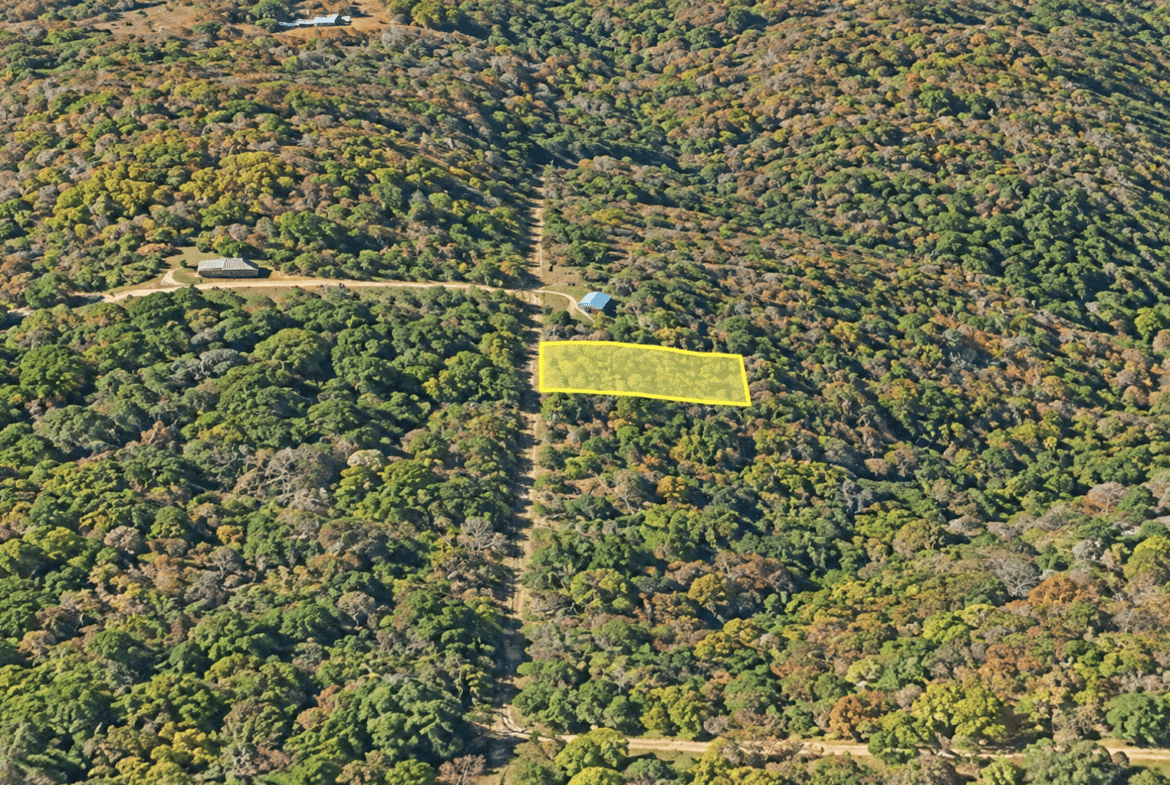 Wooded 0.12 Acres For Sale in Williford, AR! 100% Unrestricted!