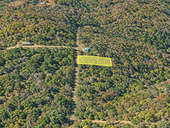 Wooded 0.12 Acres For Sale in Williford, AR! 100% Unrestricted!