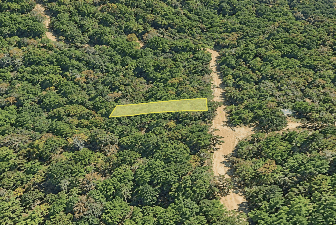 Wooded 0.12 Acres For Sale in Williford, AR! 100% Unrestricted!