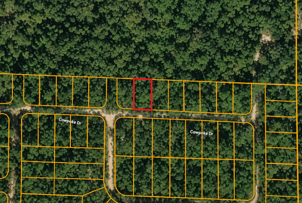Wooded 0.12 Acres For Sale in Williford, AR! 100% Unrestricted!
