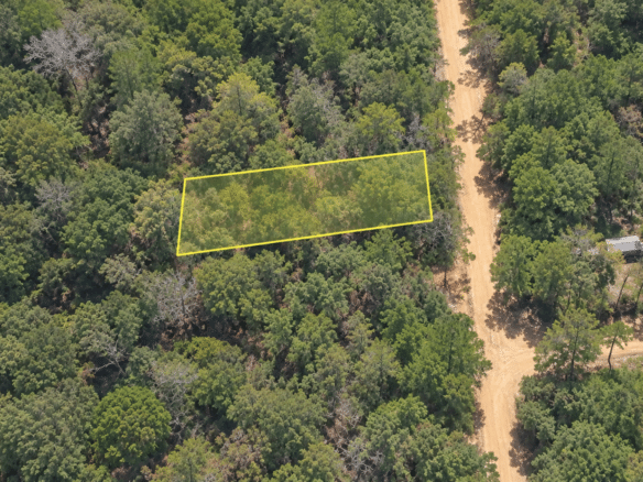 Wooded 0.12 Acres For Sale in Williford, AR! 100% Unrestricted!