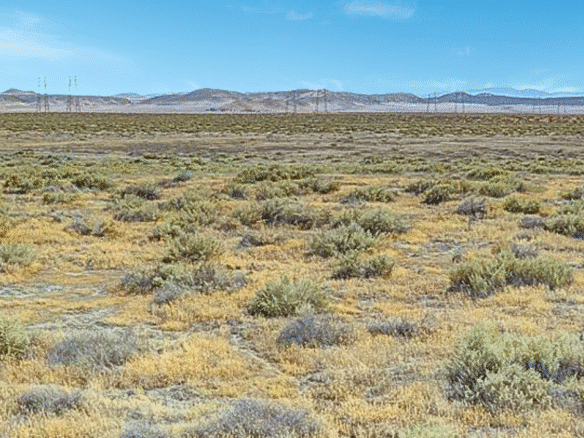 2.5 Acres Land to Build or Homestead, Santa Margarita, CA 93453