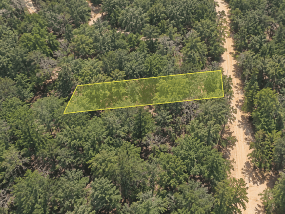 Wooded 0.12 Acres For Sale in Williford, AR! 100% Unrestricted!