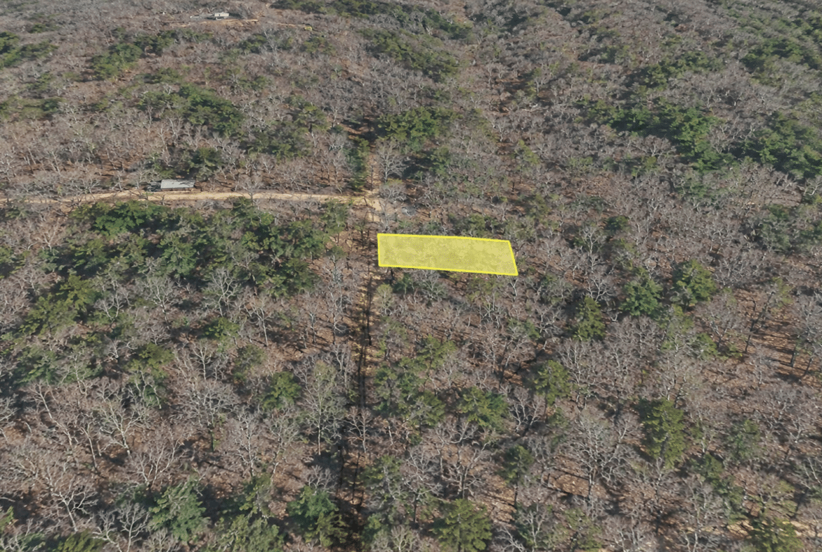 Wooded 0.12 Acres For Sale in Williford, AR! 100% Unrestricted!