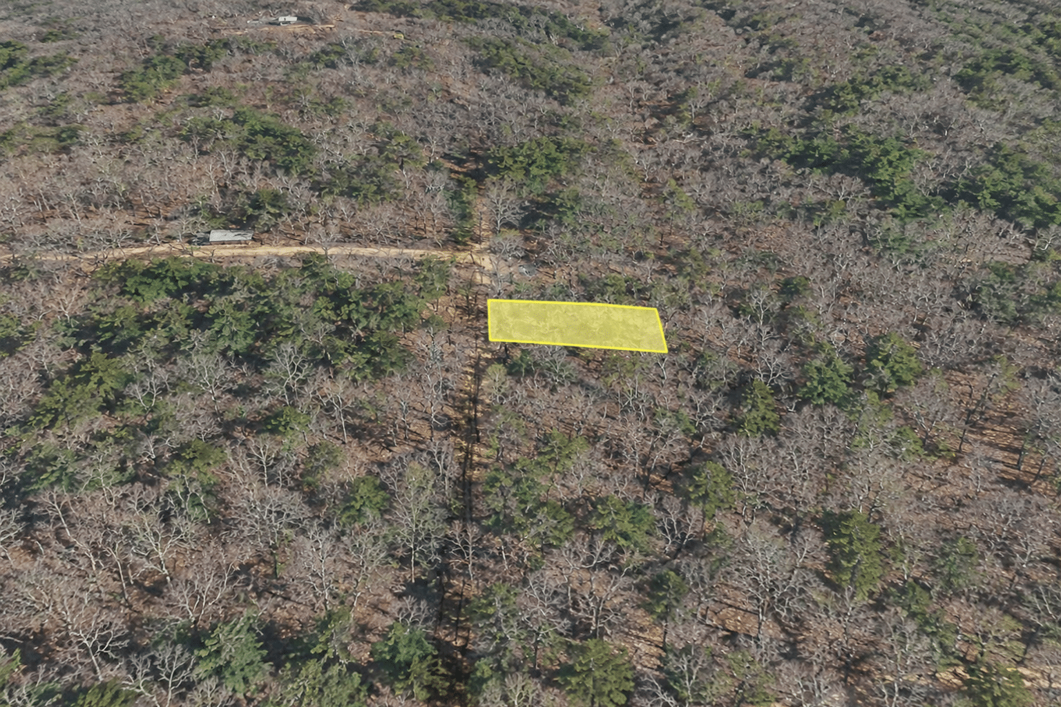 5 Wooded 0.12 Acres For Sale in Williford, AR! 100% Unrestricted!