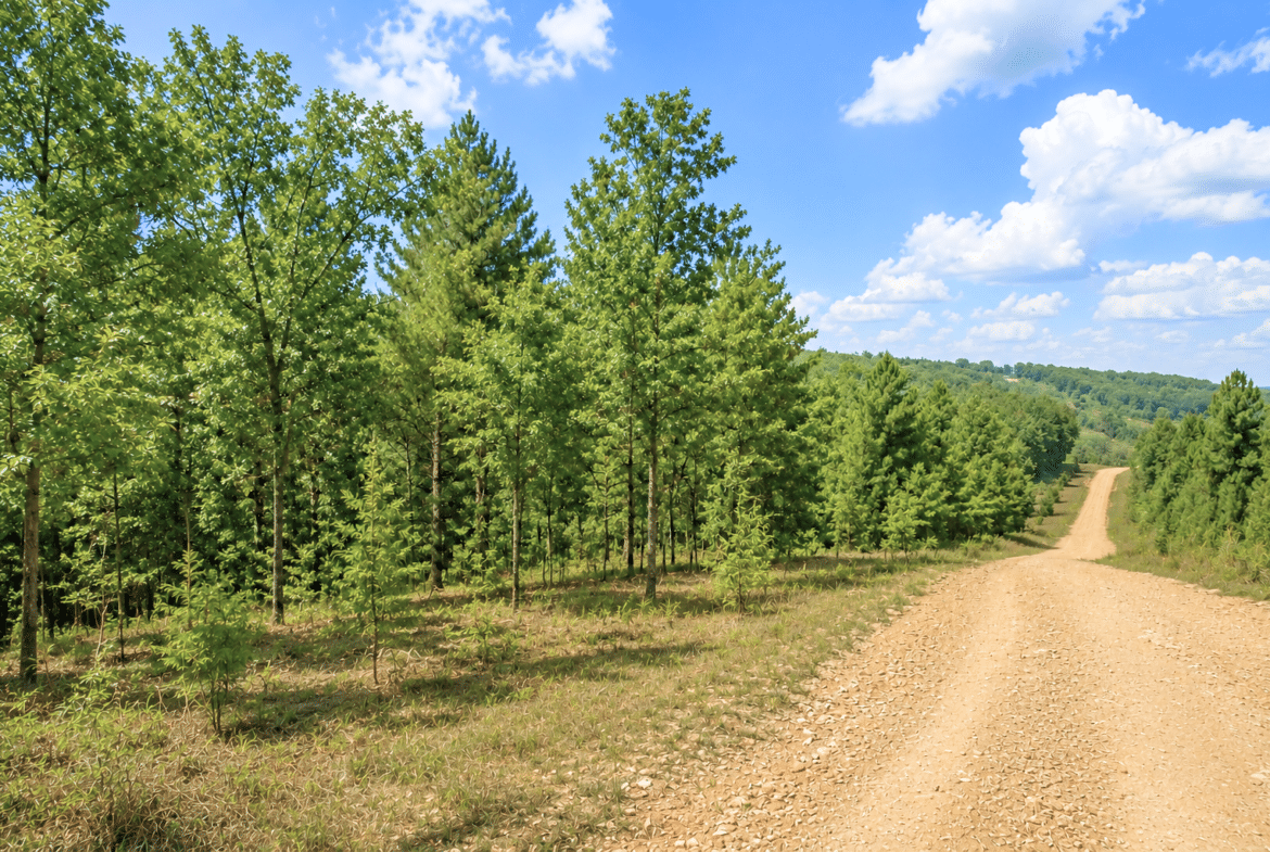 1.05 Acre Land for Sale in Arkansas Near to Lake