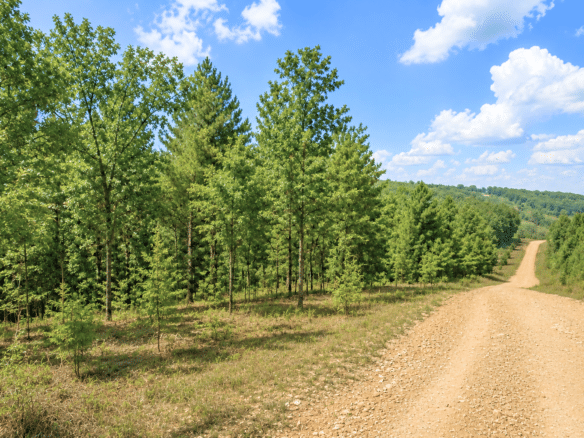 1.05 Acre Land for Sale in Arkansas Near to Lake