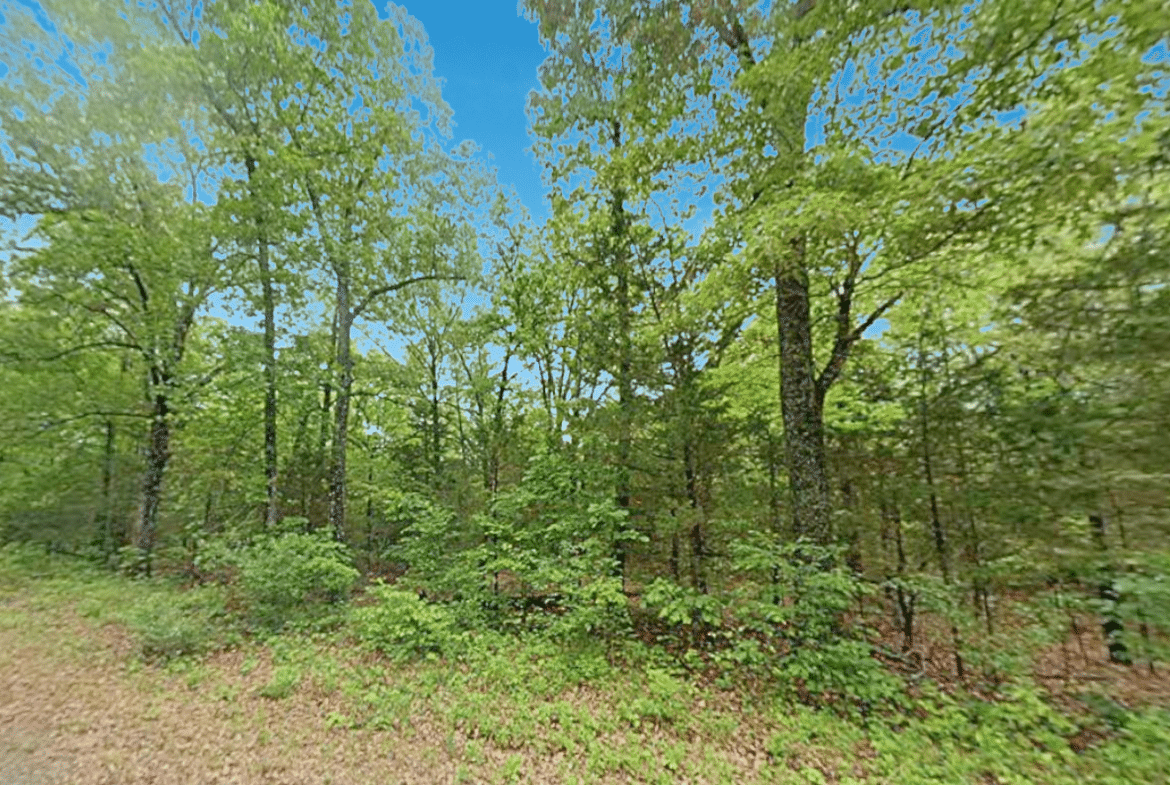 Wooded 0.47 Acre Near Crown Lake – Horseshoe Bend, AR! $145/Month!